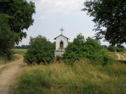 "Idol nadwiślański (Wędrujący Idol)", cykl fotografii z 2009-2010 r.